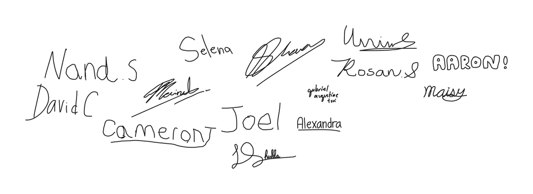 Organizer signatures